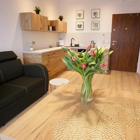 Apartament Na Piernikowym Z Miejscem Postojowym Torun Ngoại thất bức ảnh